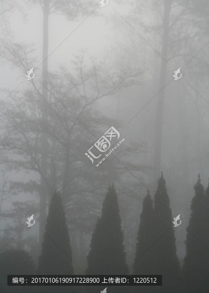 霧