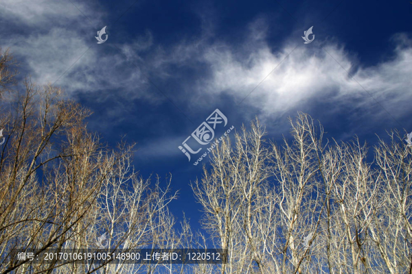 藍(lán)色的天空