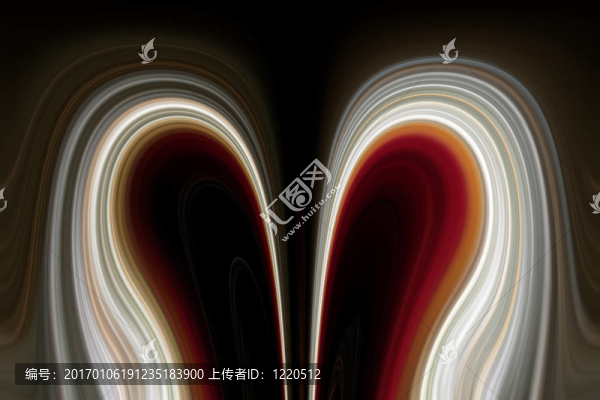 抽象的形狀中的兩個鳥