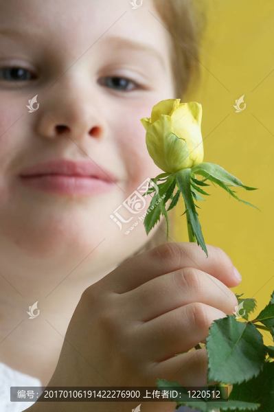 迷人的花