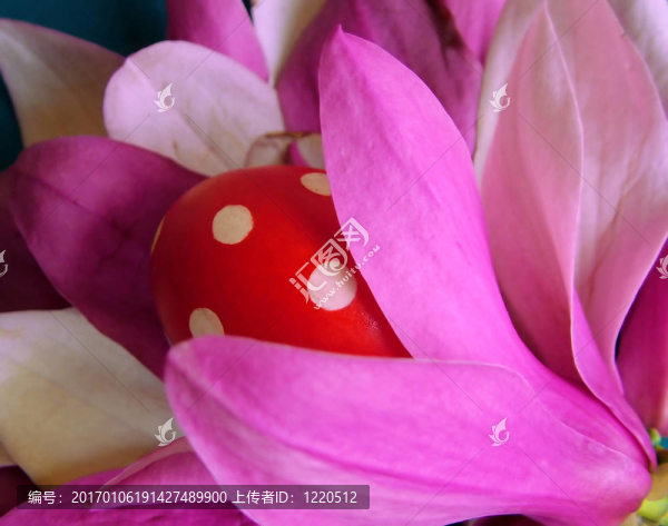 紅點(diǎn)蛋-匯圖網(wǎng) www.fosd68.com 紅點(diǎn)蛋