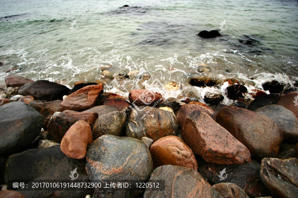 海