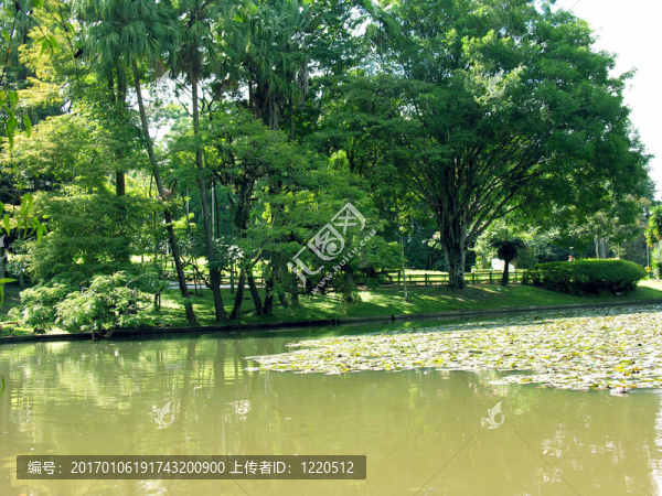 公園2