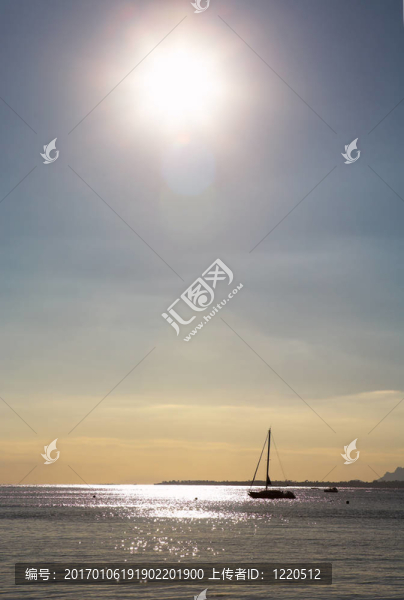 安提貝239