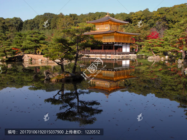 金廟