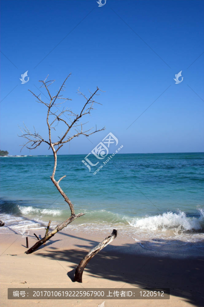 海灘
