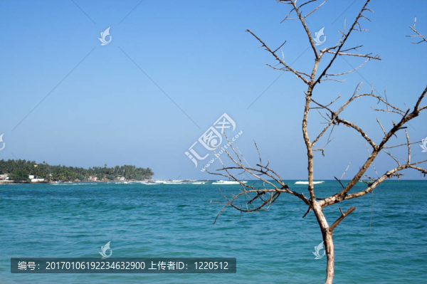 海灘
