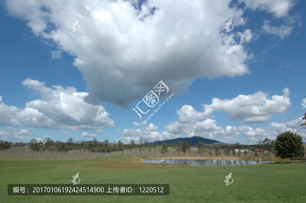 綠色的田野