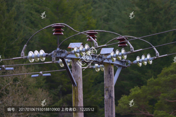 電源線
