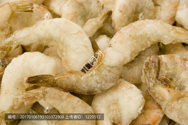 蝦原料