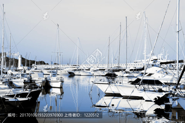 安提貝282