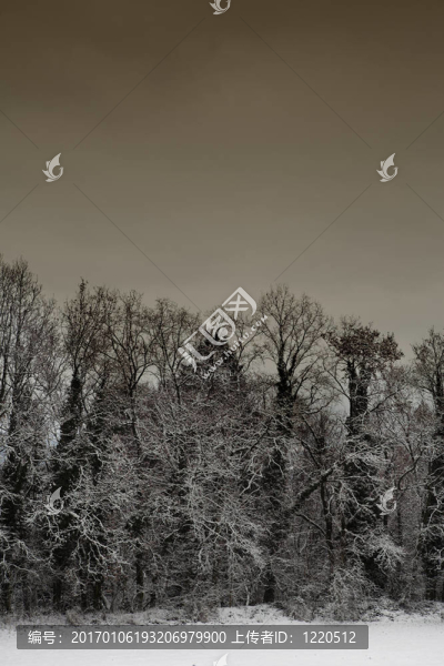 冰雪景觀5