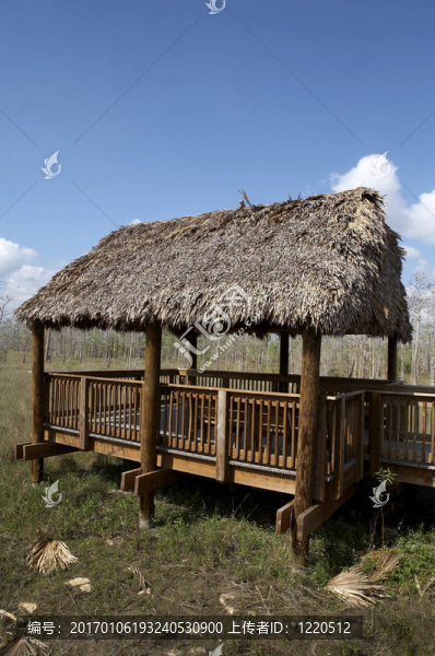 觀察小屋