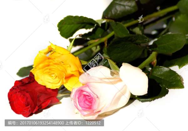 Flowers,45