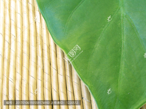 稻草上茂密的樹葉