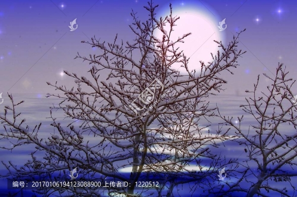 Moon雪