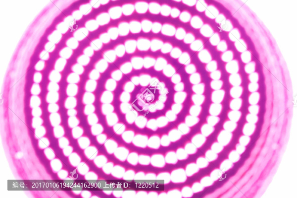 紫色PSYCHODELIC糧倉