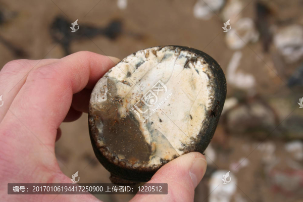 燧石結(jié)核