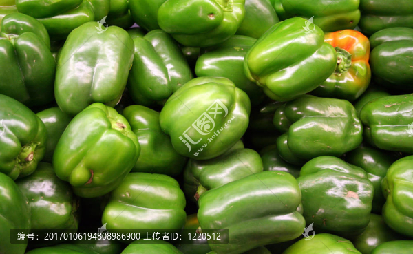 蔬菜-,Green,Bell,Pepper