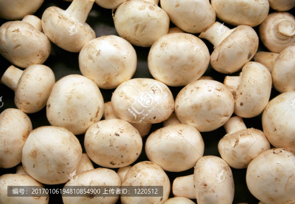 蔬菜蘑菇-匯圖網(wǎng) www.fosd68.com 蔬菜蘑菇