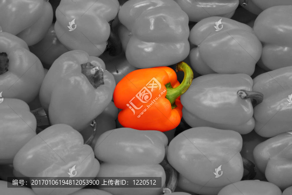 蔬菜-,Orange,Bell,Pepper分離-匯圖網(wǎng) www.fosd68.com 蔬菜-,Orange,Bell,Pepper分離