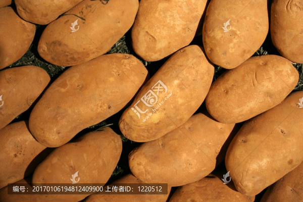 蔬菜土豆