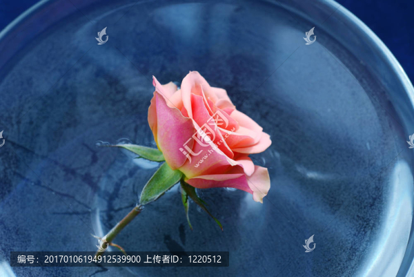 水漲浮
