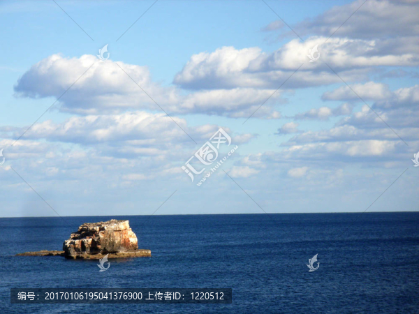 胰島