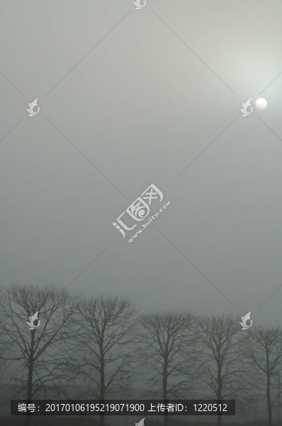 Fog1
