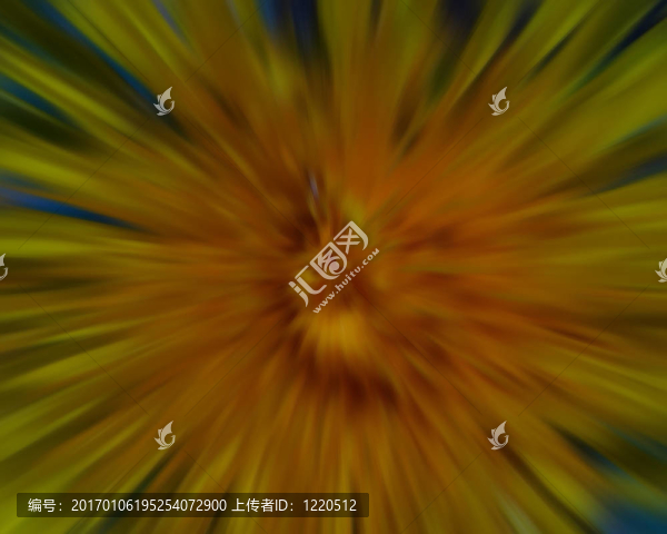 蒲公英爆裂
