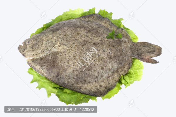 多寶魚（魚）