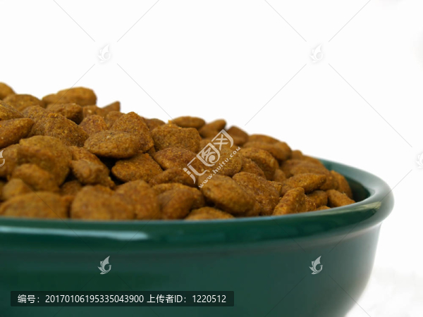 狗食