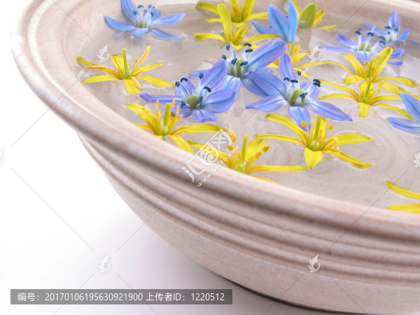 浮動(dòng)的春天的花朵