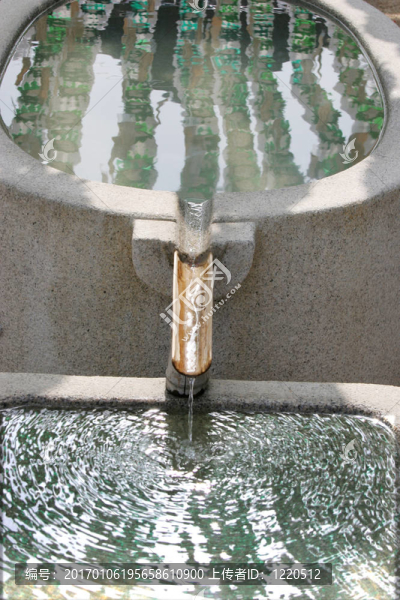 水上花園