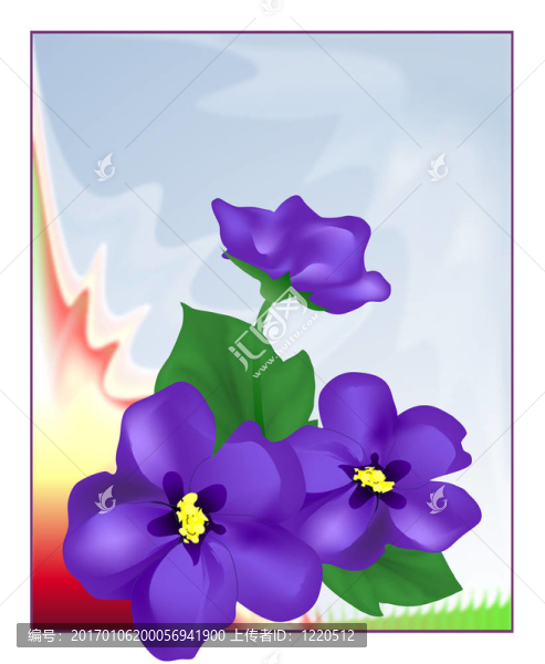 紫羅蘭-匯圖網(wǎng) www.fosd68.com 紫羅蘭