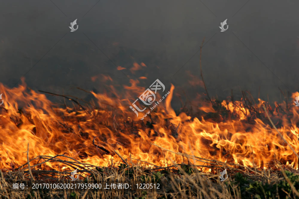 grassfire