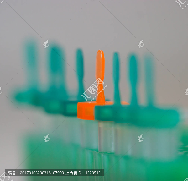 埃彭多夫管
