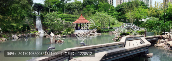 在香港的公園