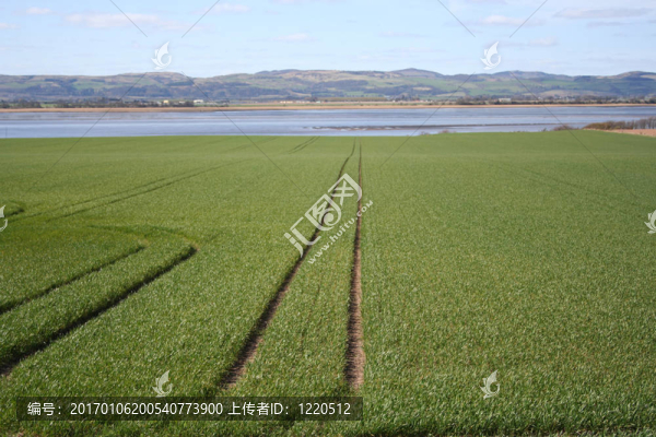 河邊的田野-匯圖網(wǎng) www.fosd68.com 河邊的田野