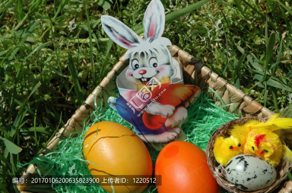 兔子和eggs2