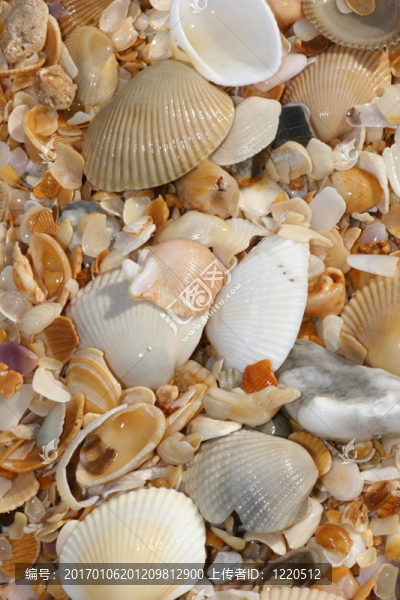 炮彈在Beach