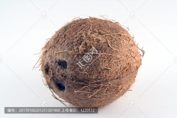 椰子