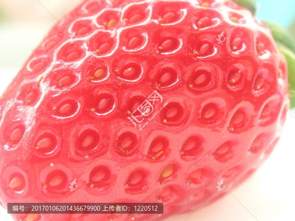 草莓