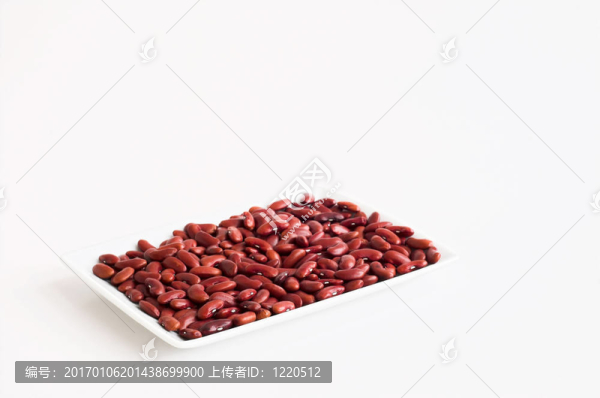 纖維