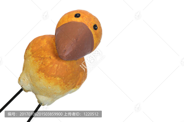 小雞