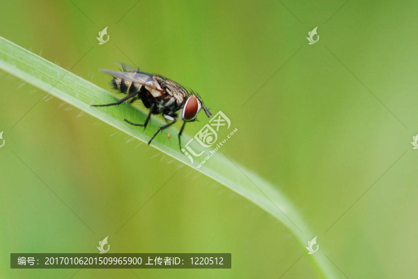 獨自一人