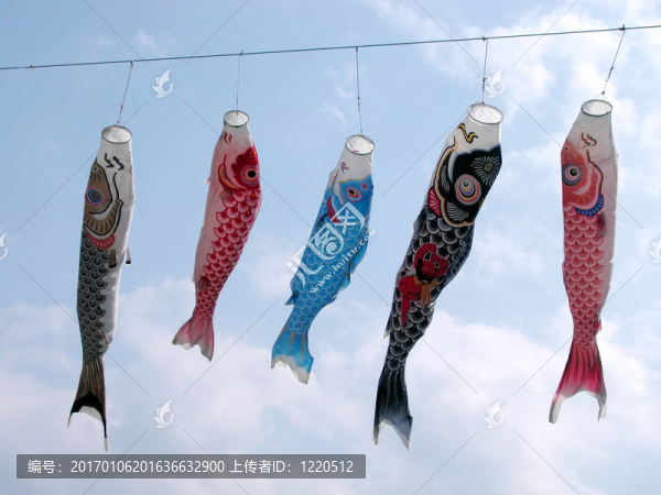鯉魚鯉魚旗飄揚
