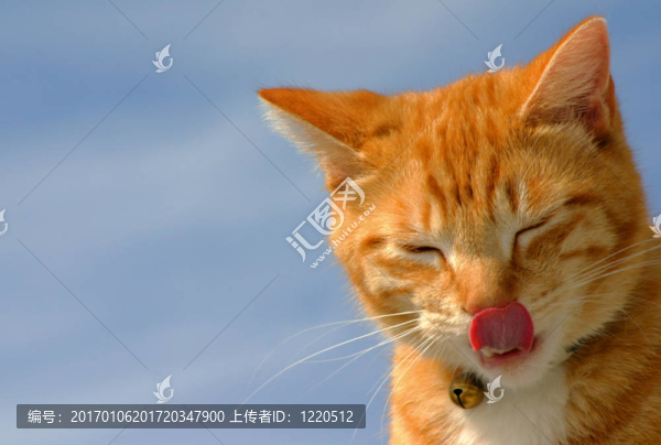 潛行者18