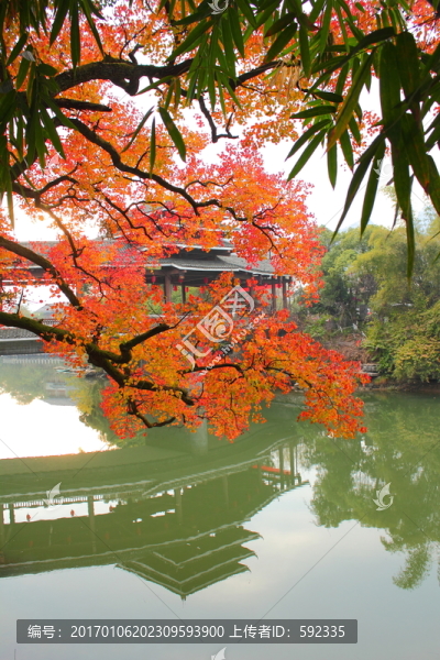 桃花江秋色