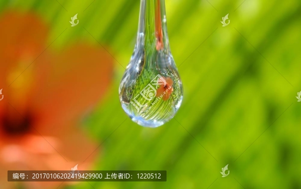 水滴